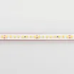 Светодиодная лента RTW 2-5000PS 24V Warm2700 2x (2835, 160 LED/m, LUX) (Arlight, 12 Вт/м, IP67)