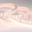 Светодиодная лента RT 2-5000 24V RGB-Day 2x2 (5060, 720 LED, LUX) (Arlight, 32 Вт/м, IP20)