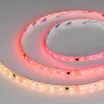 Светодиодная лента герметичная SPI-SE-B60-10mm 24V RGB-PX6-BPT (12 W/m, IP65, 5060, 5m) (Arlight, бегущий огонь)