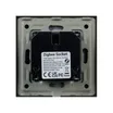 Розетка электрическая с Zigbee управлением SCT-OMALI-EUZB1-PL-BK (240V, 16A, Zigbee) (Arlight, -)