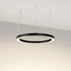Светильник SP-CIRCLE-HANG-O3535-D500-30W Day4000 (RAL9005, 120 deg, 230V) IP40 LED (Arlight, Алюминий)