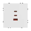 Механизм розетки с быстрой USB зарядкой SCT-NOBE-MUACC-SFPL-FC-WH (65W, QC3) (Arlight, -)