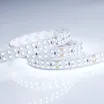 Светодиодная лента RT 2-5000 24V Cool 8K 2x2 (3528, 1200 LED, LUX) (Arlight, 19.2 Вт/м, IP20)