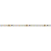 Светодиодная лента RT 2-5000 24V Cool 8K 5mm 2x (3528, 600 LED, LUX) (Arlight, 9.6 Вт/м, IP20)