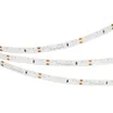 Светодиодная лента RS 2-5000 12V Day4000 (3014, 60 LED/m, LUX) (Arlight, 4.8 Вт/м, IP20)