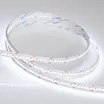 Светодиодная лента RT6-3528-240 24V White6000 4x (1200 LED) (Arlight, 19.2 Вт/м, IP20)