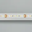 Светодиодная лента MICROLED-5000 24V White-CDW 8mm (2216, 240 LED/m, Bipolar) (Arlight, 9.6 Вт/м, IP20)