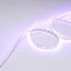 Светодиодная лента RT-G168-10mm 24V RGB (17.3 W/m, IP20, 3838, 5m) (Arlight, Открытый)