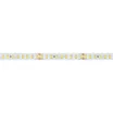 Светодиодная лента RT-A144-10mm 24V White6000 (7.7 W/m, IP20, 2835, 5m) (Arlight, высок.эфф.200 лм/Вт)