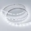 Светодиодная лента RT-10000 24V White5500 (3528, 60 LED/m, 10m) (Arlight, 4.8 Вт/м, IP20)