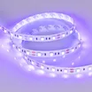 Светодиодная лента RT 2-5000 12V UV400 2x (5050, 300 LED, LUX) (Arlight, 14.4 Вт/м, IP20)