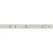 Светодиодная лента RTW 2-5000PGS 12V Warm (3528, 300 LED, LUX) (Arlight, 4.8 Вт/м, IP67)