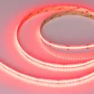 Светодиодная лента CSP-X840-12mm 24V RGBW-MIX (16 W/m, IP20, 5m) (Arlight, -)