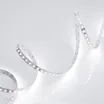 Светодиодная лента RT 2-5000 24V White6000 2x (3528, 600 LED, LUX) (Arlight, 9.6 Вт/м, IP20)