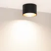 Светильник SP-BISCOTTO-R120-12W Warm3300-MIX (BK-GD, 80 deg, 230V) (Arlight, IP54 Металл, 5 лет)