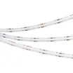 Светодиодная лента COB-5000-CSP-544-24V Blue (8mm, 11.5W, IP20) (Arlight, -)