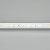 Светодиодная лента ARL-50000PV-230V Cool 10K (5060, 54 LED/m, WP2) (Arlight, 8 Вт/м, IP65)