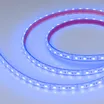 Светодиодная лента герметичная RTW-PFS-B60-13mm 12V Blue (14.4 W/m, IP68, 5060, 5m) (Arlight, 14.4 Вт/м, IP68)
