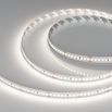 Светодиодная лента RT-A192-10mm 24V Day5000 (17.6 W/m, IP20, 2835, 5m) (Arlight, высок.эфф.150 лм/Вт)
